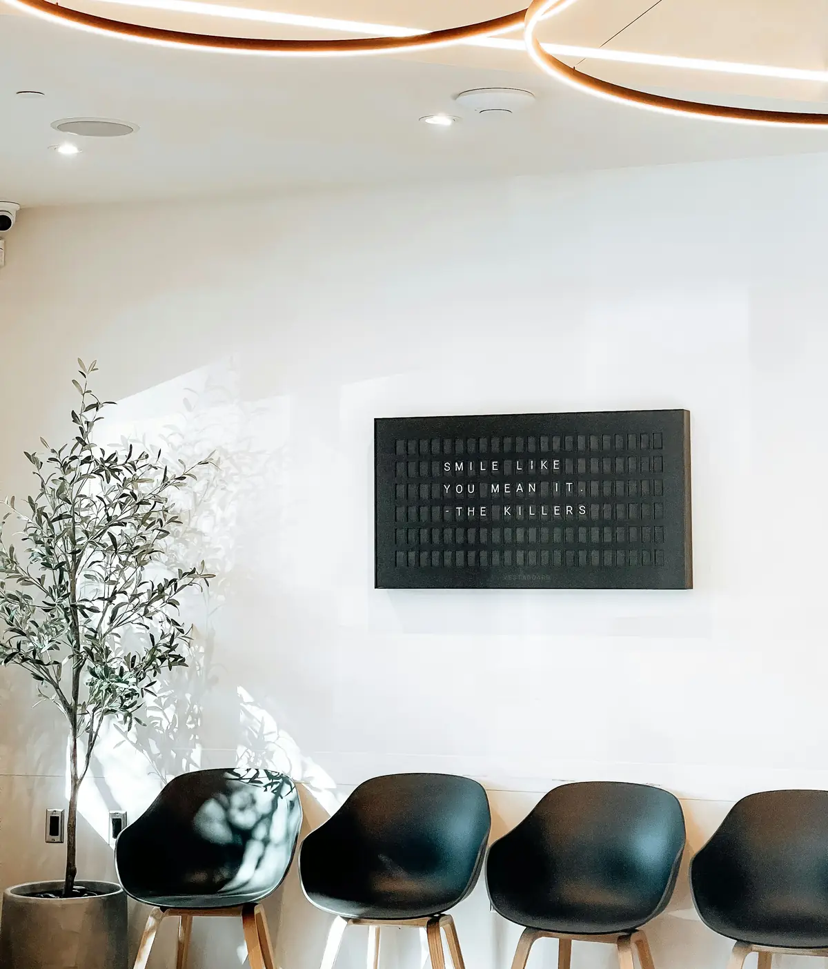 A calm waiting area with black chairs and a plant